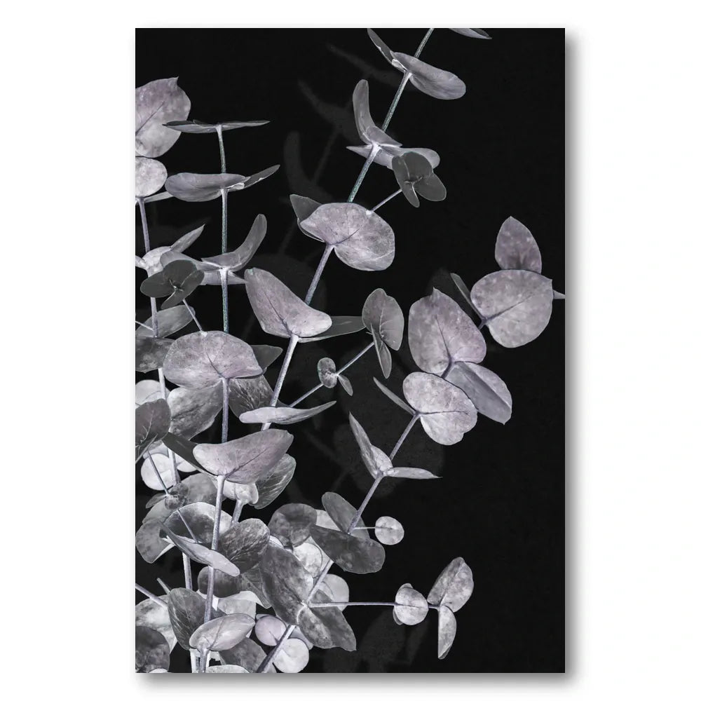 Dark Eucalyptus Foliage Photo Print