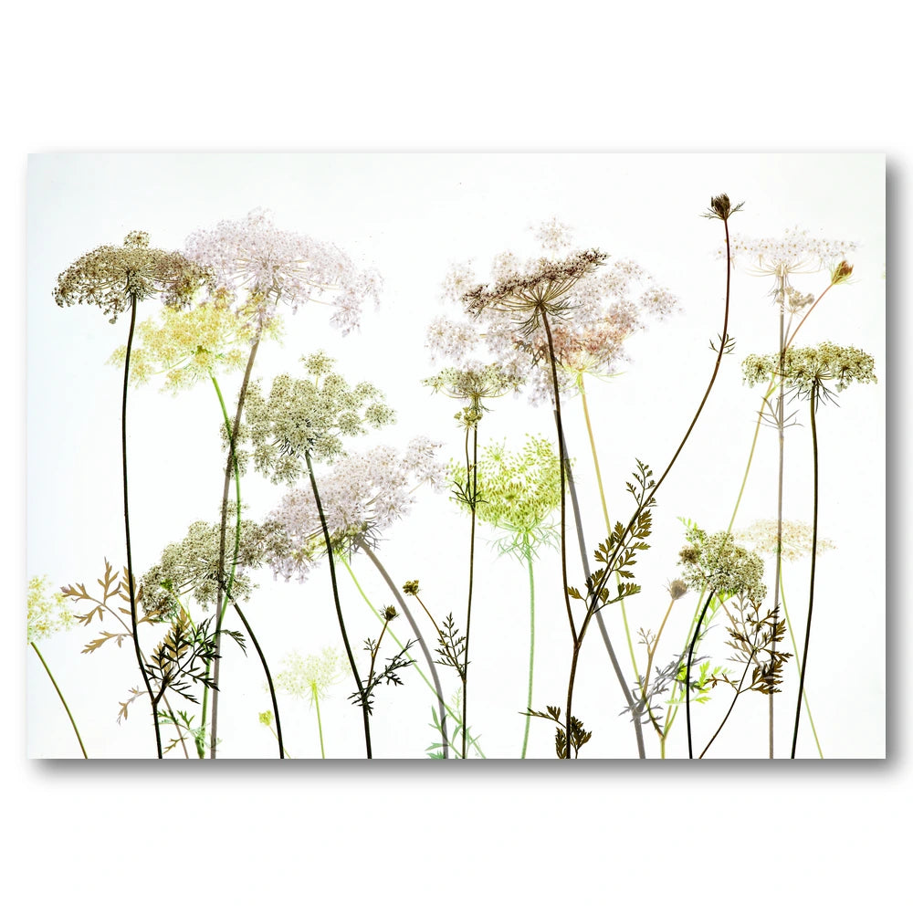 Delicate Wild Botanicals Art Print