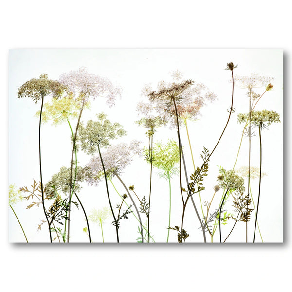 Delicate Wild Botanicals Art Print