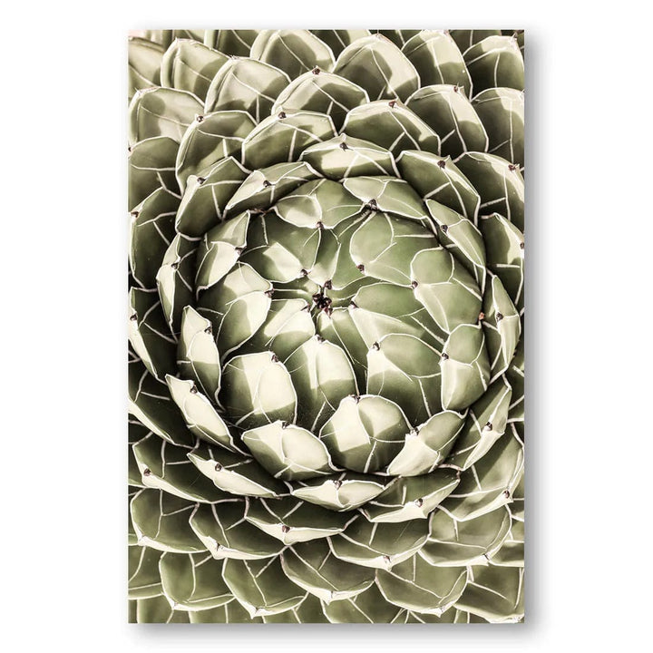 Agave Heart Blossoming Photo Print