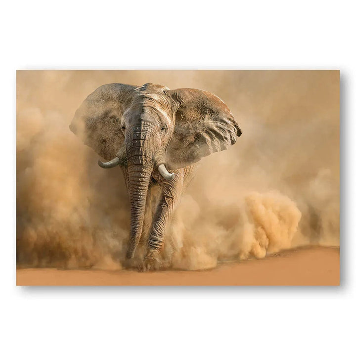 Elephant Desertstorm Photo Print