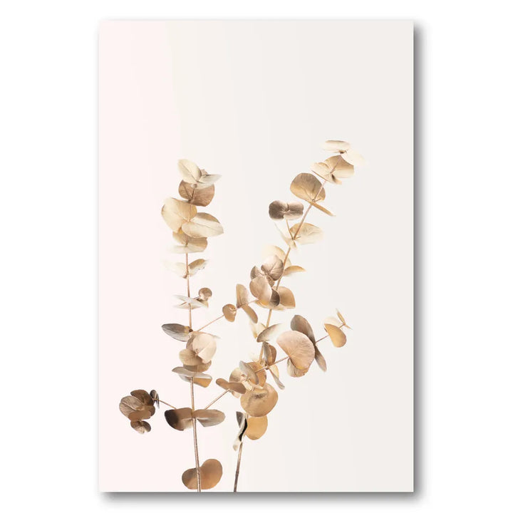 Dried Eucalyptus Branches Art Print