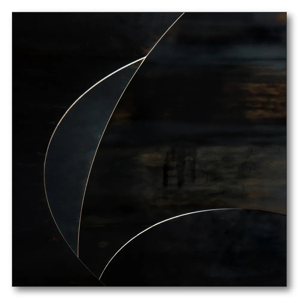 Elegant Dark Curves Art Print