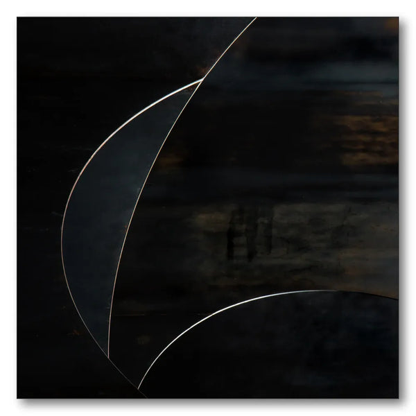 Elegant Dark Curves Art Print