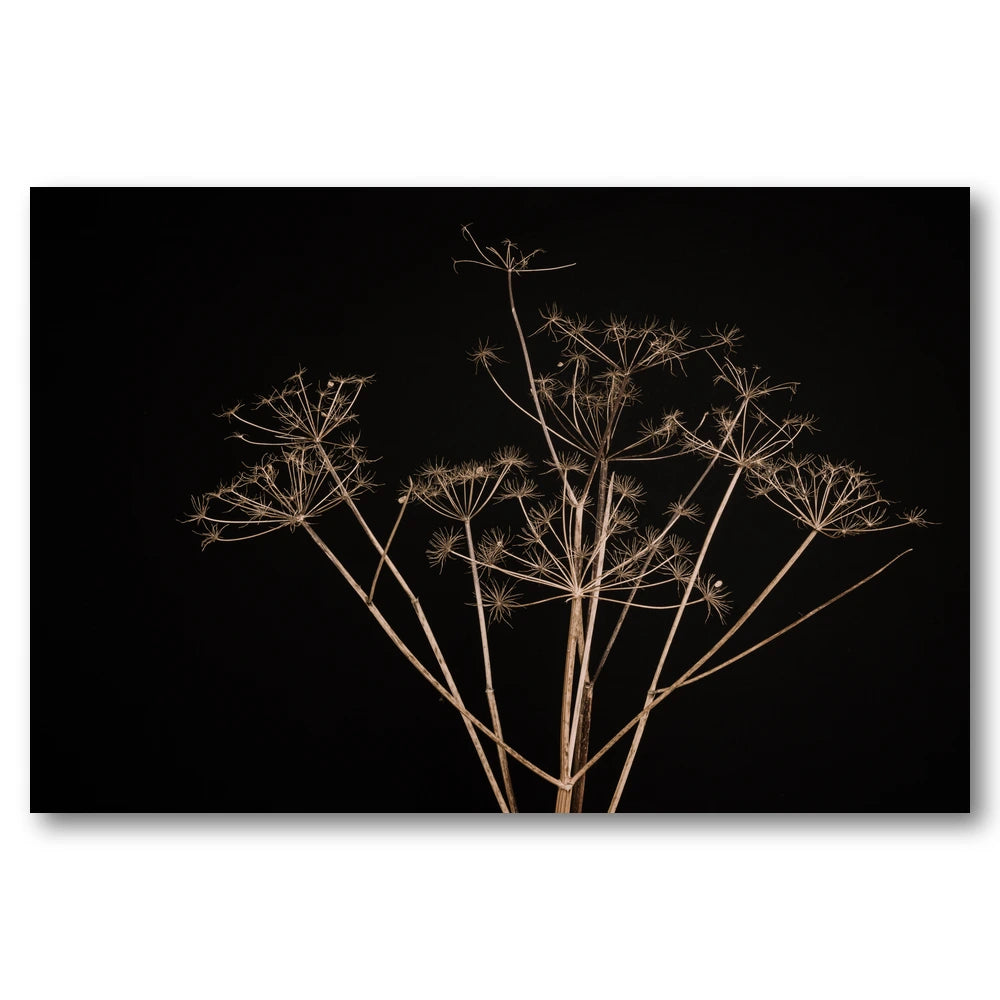Elegant Dried Plants Photo Print