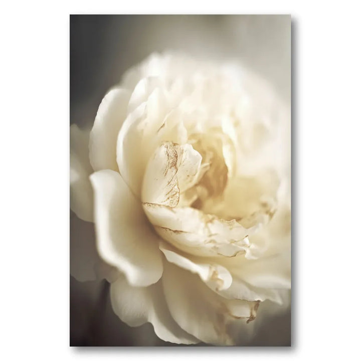 Ethereal Bloom Photo Print