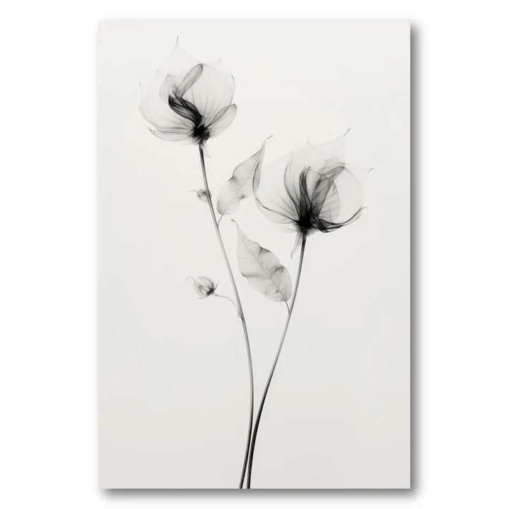 Ethereal Blooms Art Print