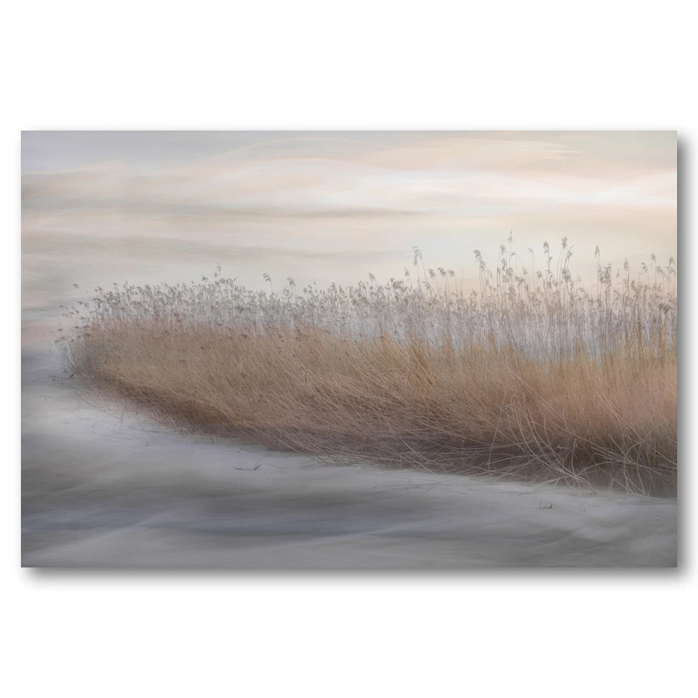 Ethereal Marsh Reeds Art Print