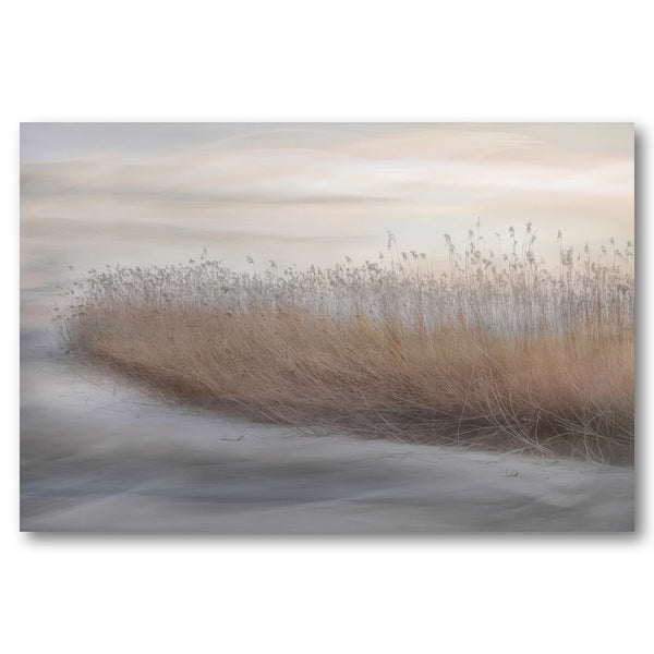 Ethereal Marsh Reeds Art Print