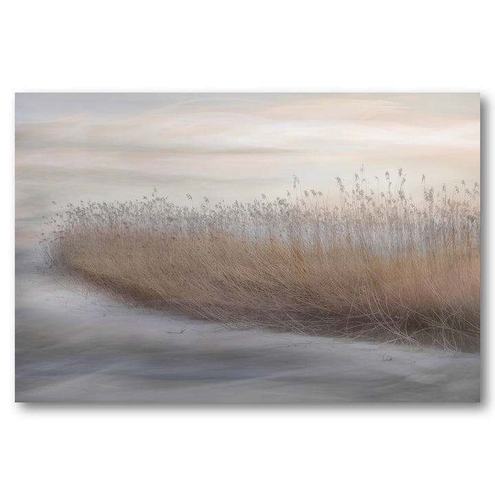 Ethereal Marsh Reeds Art Print