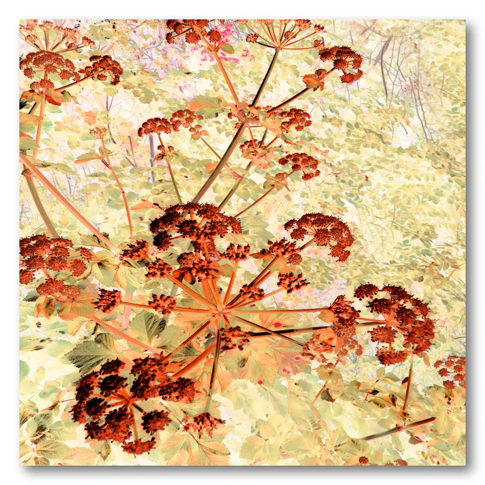 Ethereal Orange Blooms Art Print