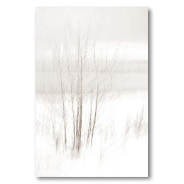 Ethereal Winter Woods Photo Print