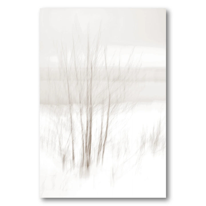 Ethereal Winter Woods Photo Print