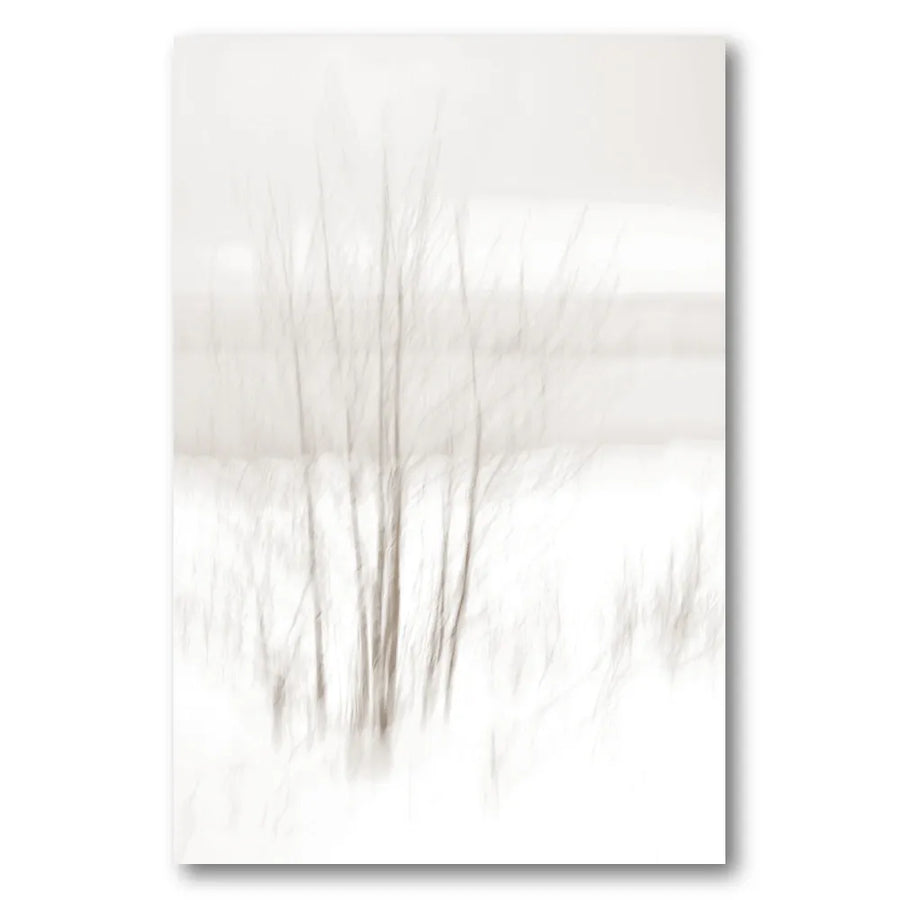 Ethereal Winter Woods Photo Print