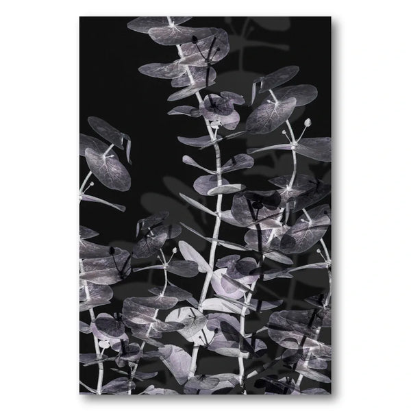 Eucalyptus Shadow Play Art Print