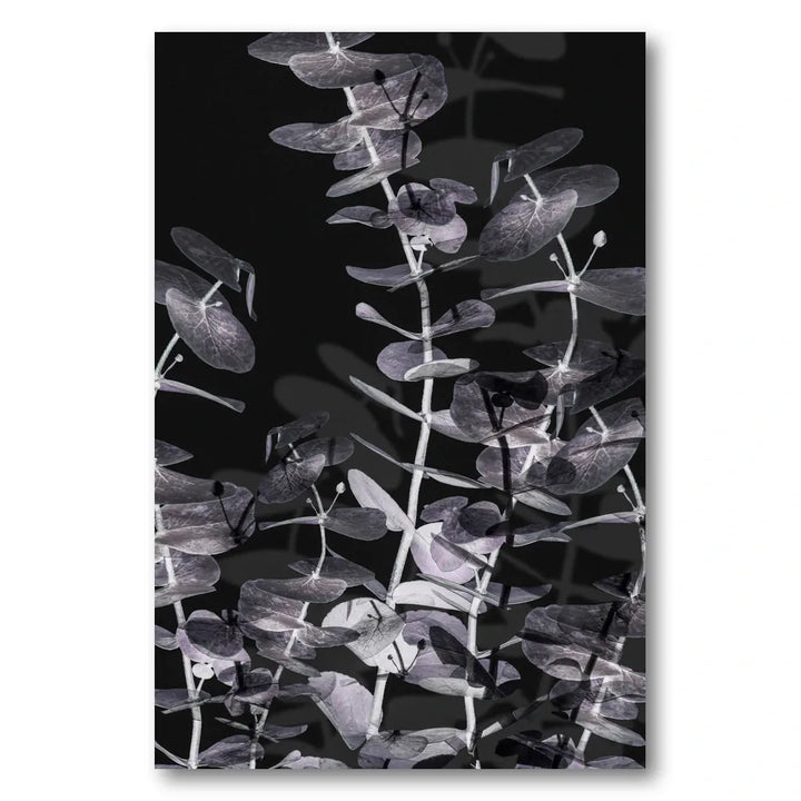 Eucalyptus Shadow Play Art Print