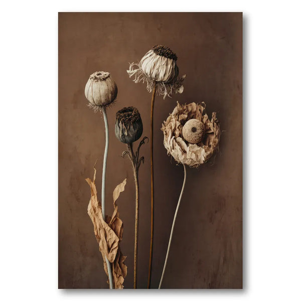 Faded Elegance Photo Print
