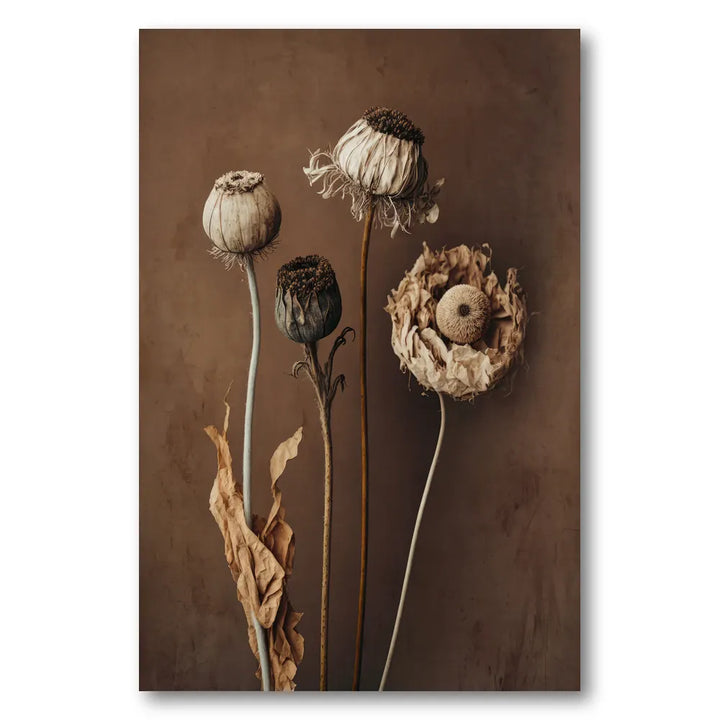 Faded Elegance Photo Print