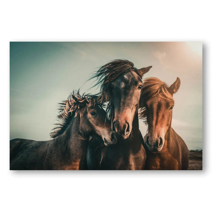 Equine Family Portrait Photo Print