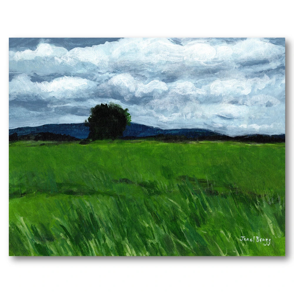 Field Under Cloudy Sky Art Print