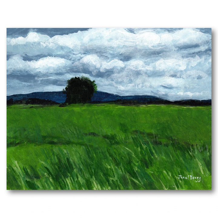 Field Under Cloudy Sky Art Print