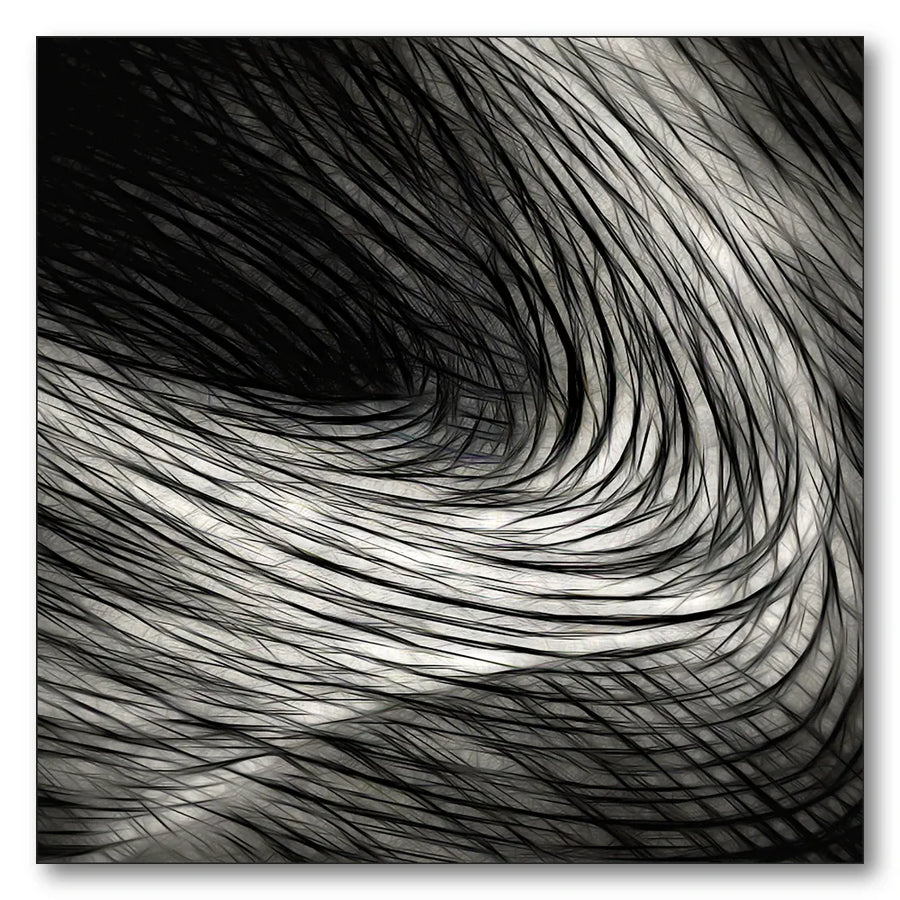 Flowing Abstract Lines Art Print