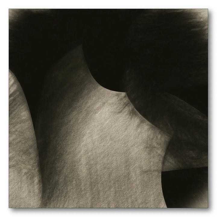 Flowing Sepia Curves Art Print