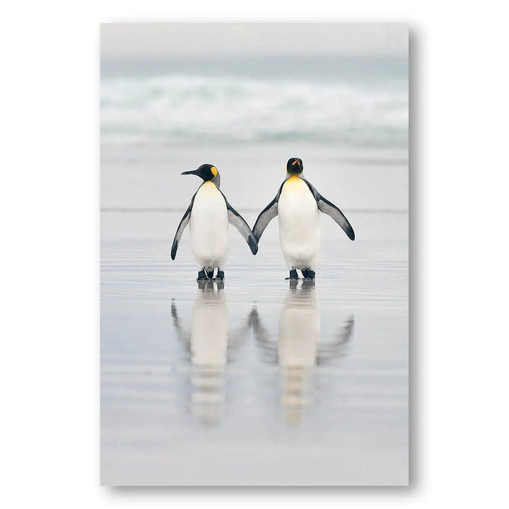 Penguin Pals Photo Print