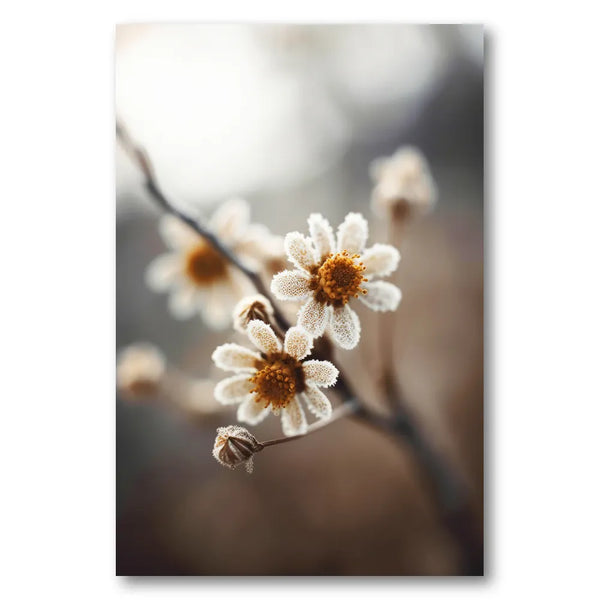 Frosted Blooms Photo Print