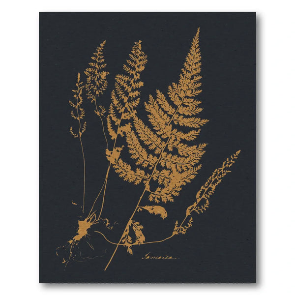 Golden Botanical Ferns Art Print