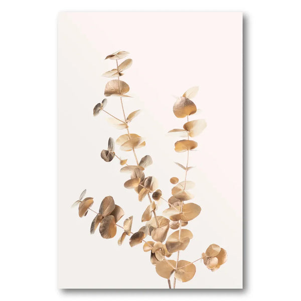 Golden Eucalyptus Branches Photo Print