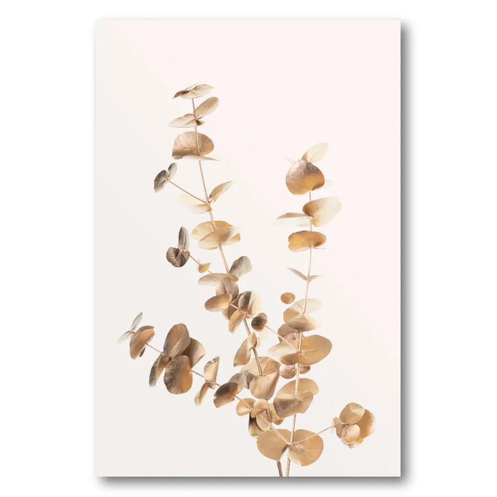 Golden Eucalyptus Branches Photo Print