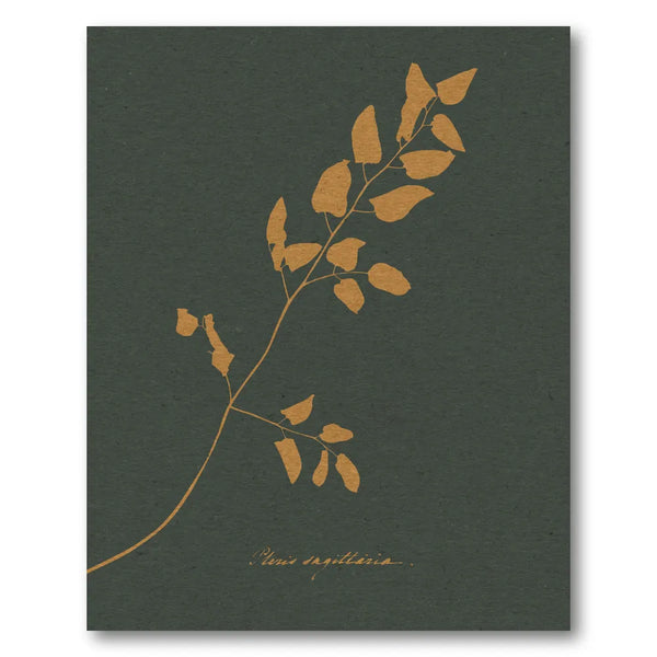 Golden Fern Silhouette Art Print