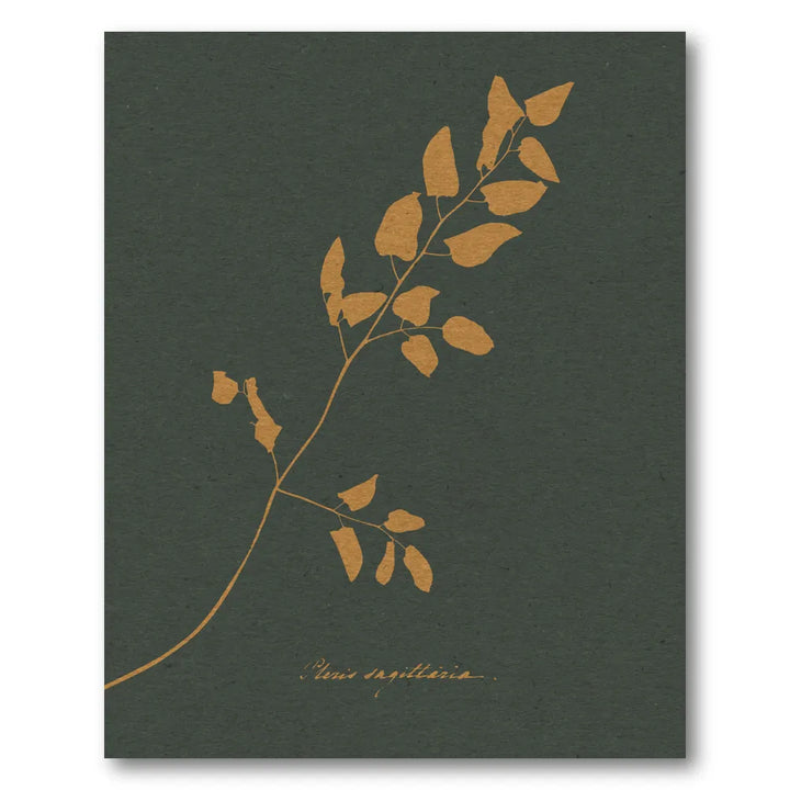 Golden Fern Silhouette Art Print