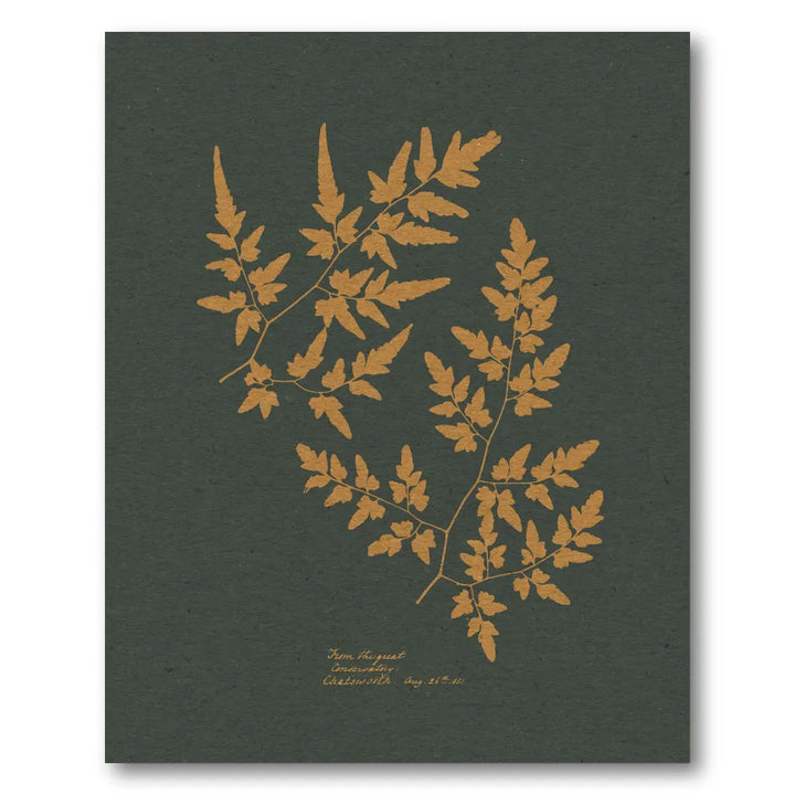 Golden Fern Silhouettes Art Print