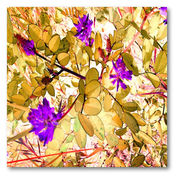 Golden Leaves Purple Flowers Art Print