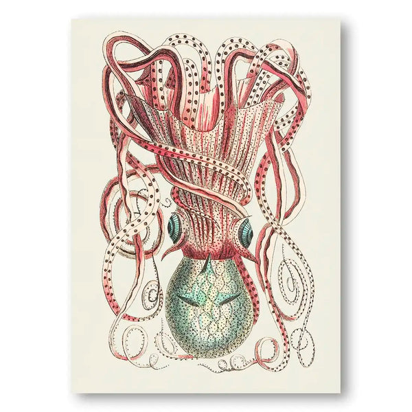 Granulated Cuttle Art Print