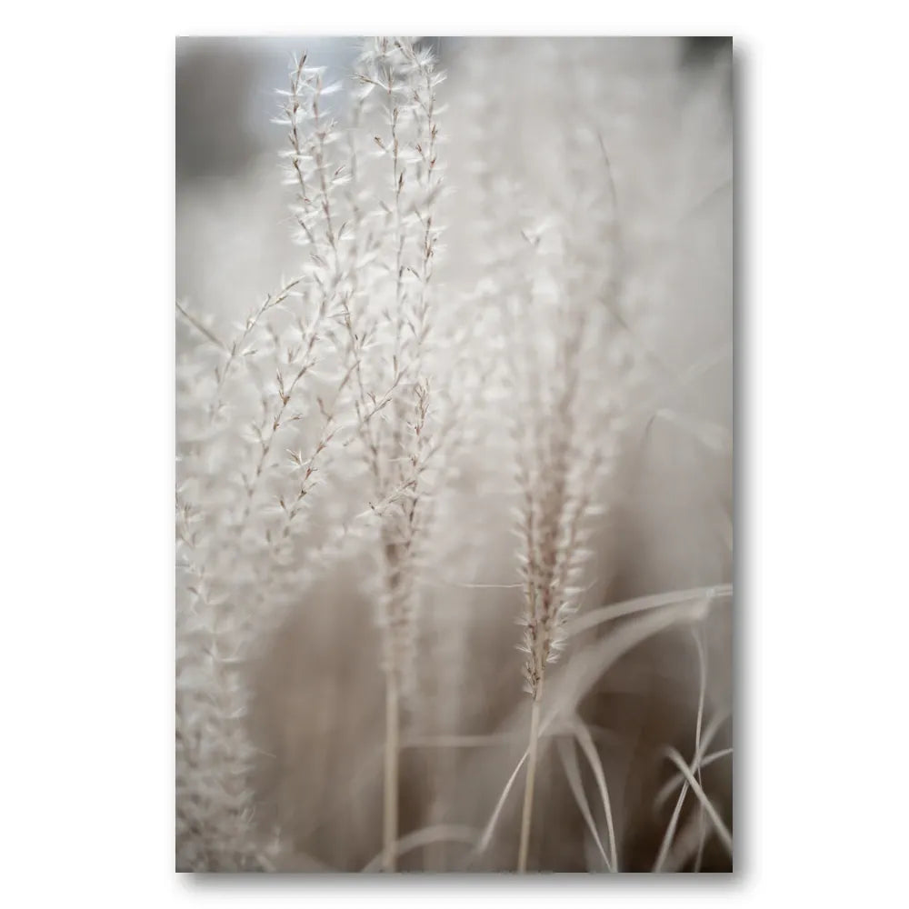 Grass 18 Photo Print
