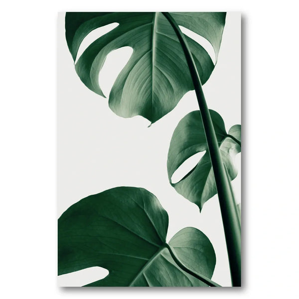 Green Monstera Leaves Photo Print