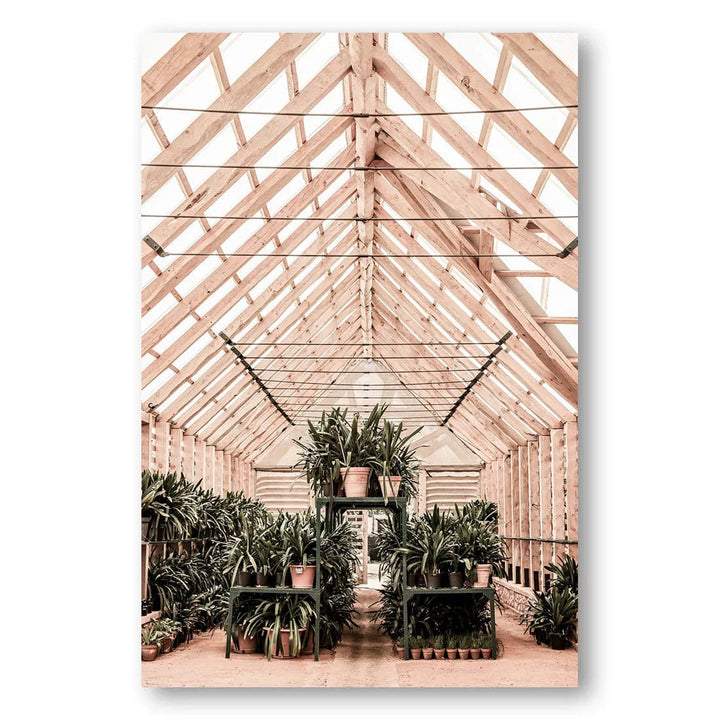 Greenhouse Plant Haven Photo Print