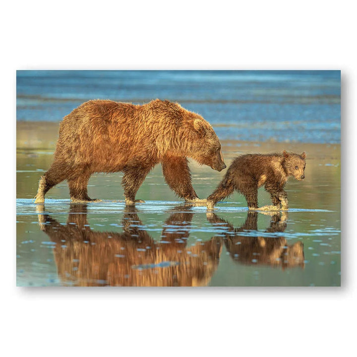 Bears Heading For Home Photo Print