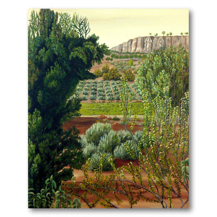 High Mountain Olive Trees Art Print