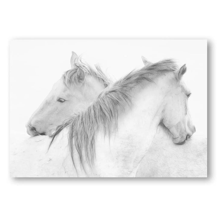 Whispering Horses Photo Print