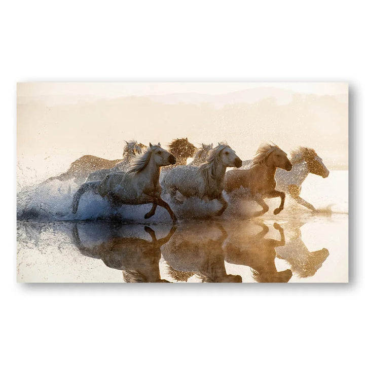 Galloping Reflections Photo Print