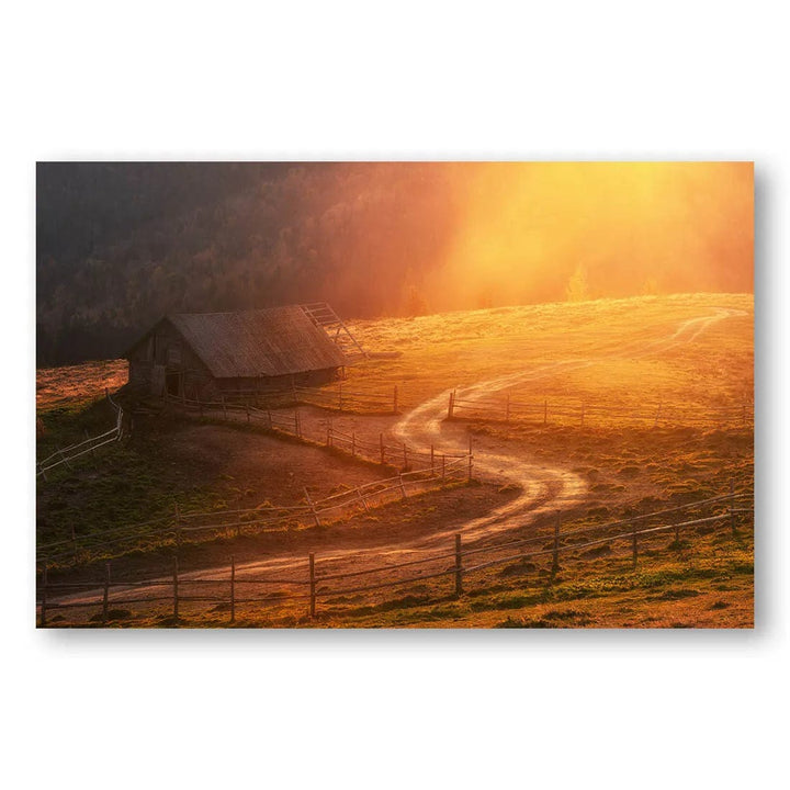 Sunlit Country Path Photo Print