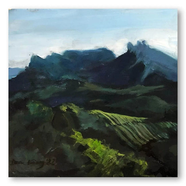 Mountain Shadows 4582 Art Print