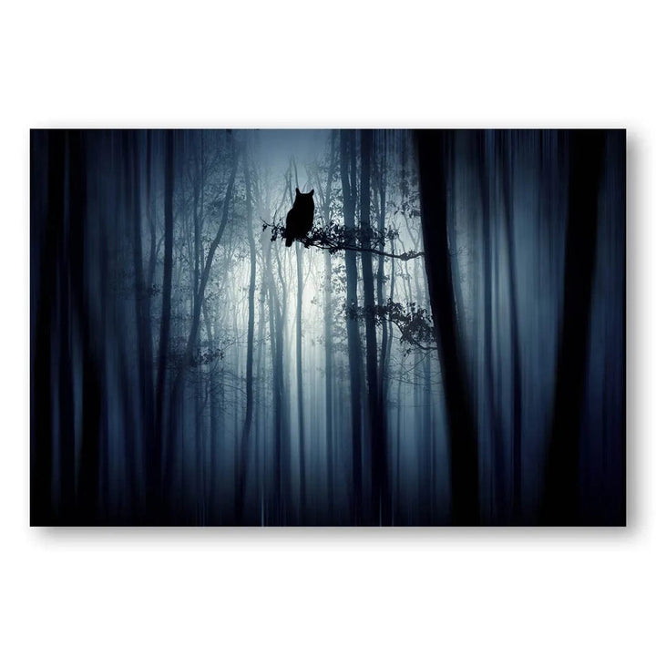 Mystic Owl In The Forest Photo Print