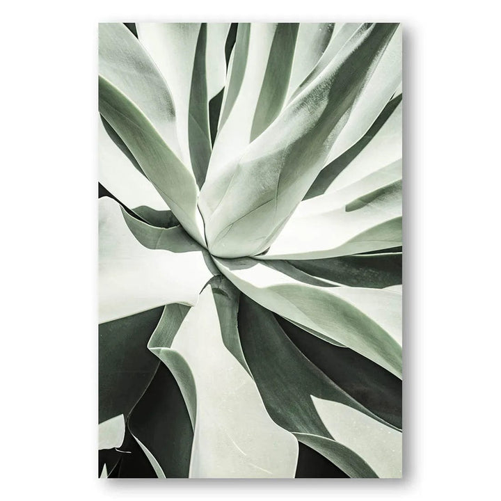 Agave Inside Out Photo Print