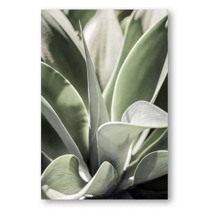 Karro Bloom Unfolding Photo Print