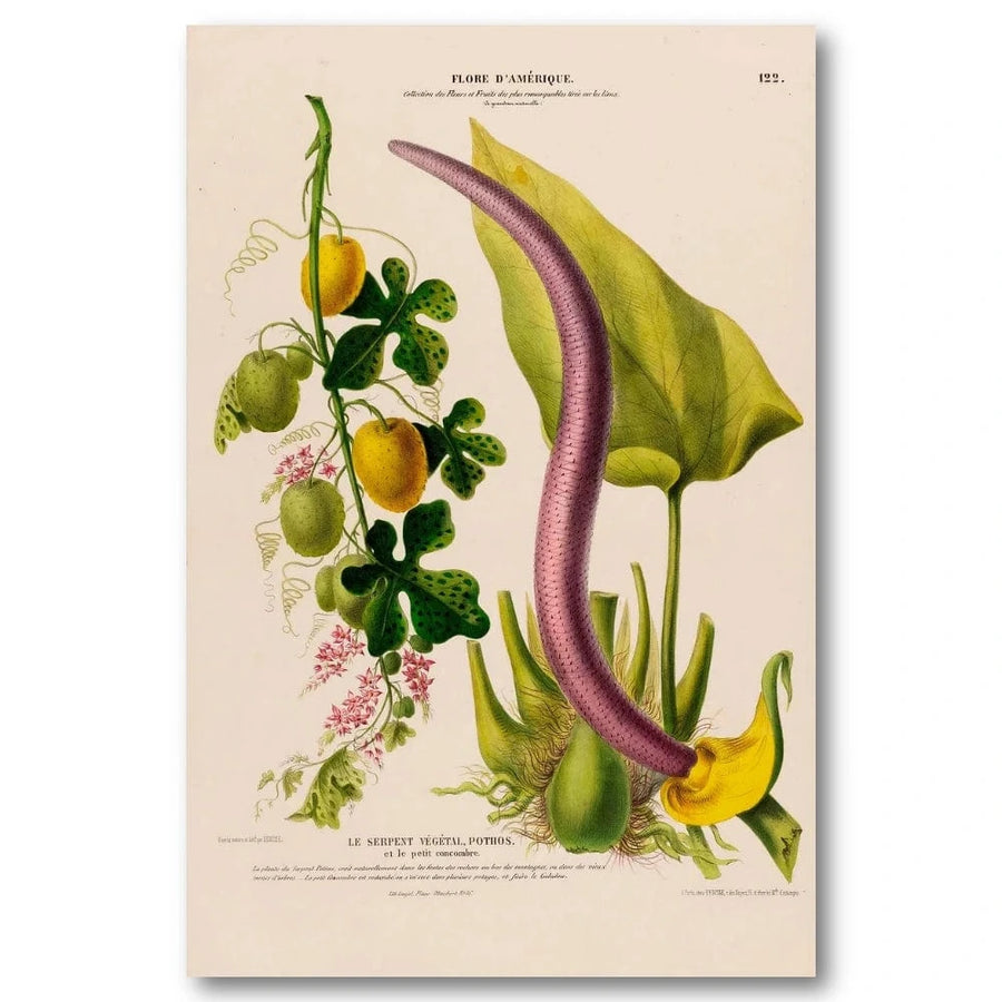 Serpent Plant Art Print